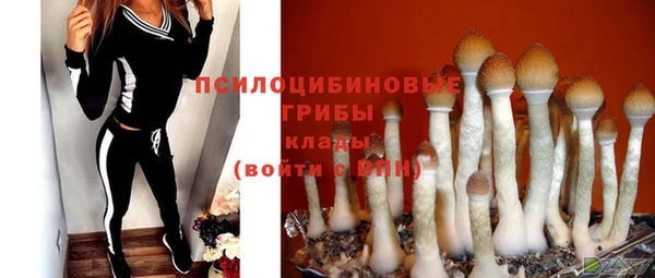 кокс Алексеевка