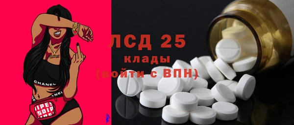 ПСИЛОЦИБИНОВЫЕ ГРИБЫ Алексин