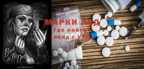 ПСИЛОЦИБИНОВЫЕ ГРИБЫ Алексин