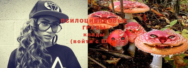 кокс Алексеевка