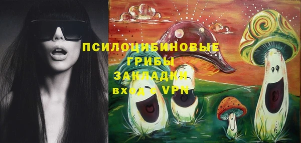 ПСИЛОЦИБИНОВЫЕ ГРИБЫ Алексин