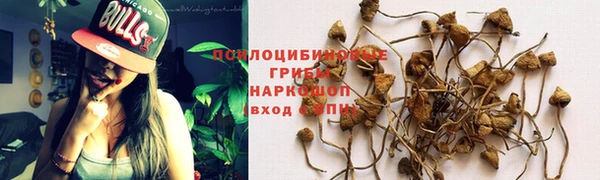 ПСИЛОЦИБИНОВЫЕ ГРИБЫ Алексин