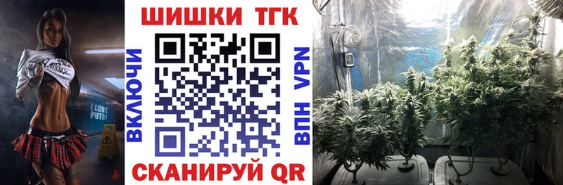 где найти наркотики  Нижние Серги  omg   Бошки Шишки планчик 